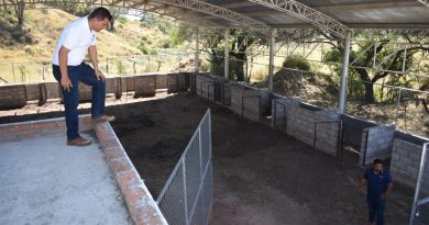 Continúan Los Trabajos De Rehabilitación En Centro Canino De Jalpa