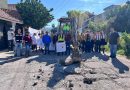 Inicia la Pavimentación en la Quinta: Compromiso de Mejora Infraestructural en Juchipila