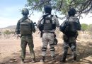 Asestan Fuerzas de Seguridad golpe a grupos delincuenciales; aseguran armamento en Tepetongo, Villanueva y Villa González Ortega