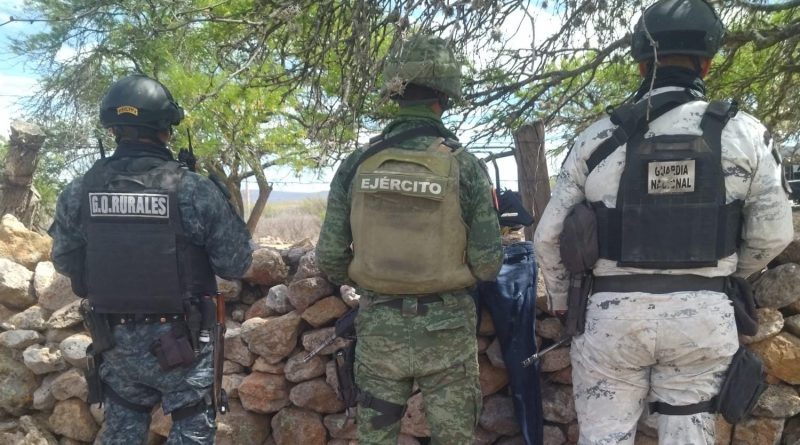 Desmantelan Fuerzas de Seguridad un campamento utilizado por un grupo delincuencial en Tepetongo