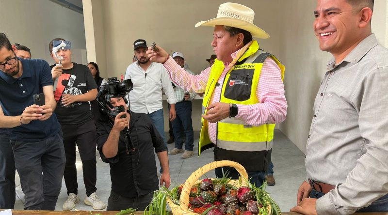 Avances en el Mercado de Jalpa bajo la Lupa del Gobernador David Monreal Ávila