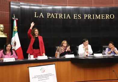 Eliminar la brecha salarial existente, objetivo de las leyes secundarias de igualdad sustantiva: Geovanna Bañuelos