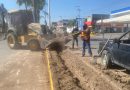 Renuevan áreas verdes en Jalpa con sistema de riego automatizado