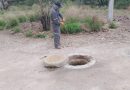 Atienden reportes de fugas y drenajes en colonias de Jalpa