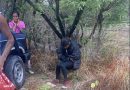 Localizan sana y salva a menor reportada como desaparecida en Jalpa
