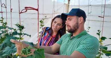 Estudiantes de Ingeniería en Agrotecnología de la UPSZ impulsan proyecto de cultivo de pepino criollo