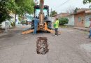 Se registra hundimiento en calle Concordia; autoridades atienden de inmediato