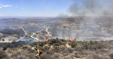 Incendio forestal en Vetagrande consume 20 hectáreas de vegetación