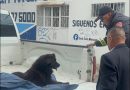 Rescatan a perro herido en la zona de Tres Cruces en la capital