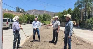 Inician trabajos de rehabilitación de camellón en la calle Felipe Ángeles, en Jalpa