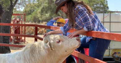 Urge Geovanna Bañuelos a contener y evitar la propagación del gusano barrenador en Zacatecas