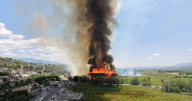 Incendio de gran magnitud en Apozol arrasa más de 16 hectáreas y enciende alerta por inicio de temporada