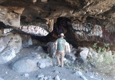 Realizan autoridades estatales búsquedas forense en Zacatecas y Loreto