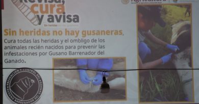 Realizan en Jalpa conferencia de prevención contra el gusano barrenador