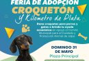 Invitan en Jalpa a participar en Feria de Adopción, Croquetón y Kilómetro de Plata
