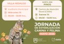 Realizará SSZ esterilizaciones caninas y felinas en el sureste zacatecano