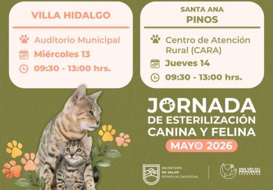 Realizará SSZ esterilizaciones caninas y felinas en el sureste zacatecano