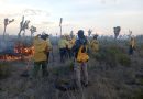Trabajan autoridades de los tres órdenes de gobierno en combate de incendio forestal