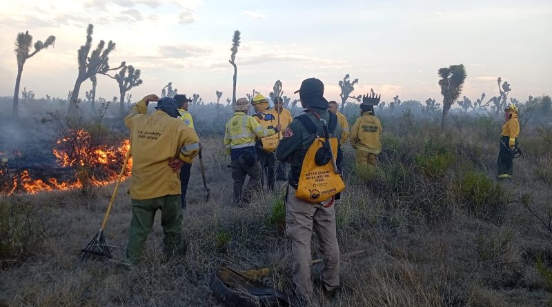 Trabajan autoridades de los tres órdenes de gobierno en combate de incendio forestal