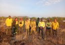 Liquidan brigadas incendio forestal en Villa de Cos