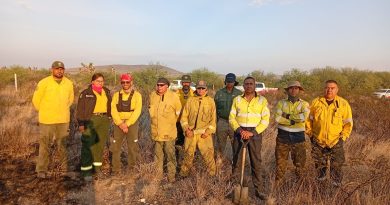 Liquidan brigadas incendio forestal en Villa de Cos