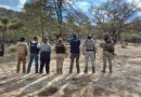 Realiza Gobierno de Zacatecas diligencia de búsqueda de personas en Fresnillo