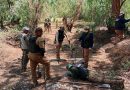 Realiza Gobierno de Zacatecas búsqueda forense generalizada en Luis Moya y Ojocaliente