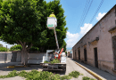 Realizan en Apozol poda preventiva para proteger infraestructura eléctrica