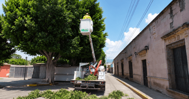 Realizan en Apozol poda preventiva para proteger infraestructura eléctrica