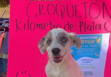 Realizan Croquetón y Feria de Adopción Animal en Jalpa