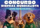 Invitan a mascotas a participar en la Gigante Fan Zone Pet Friendly en Aguascalientes