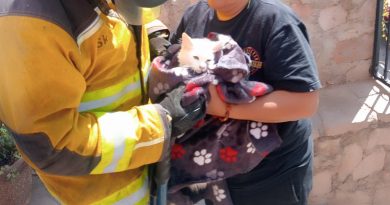 Rescatan a felino atrapado en estructura metálica