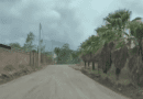 Rehabilitan acceso principal al Fraccionamiento Los Canelos en Jalpa
