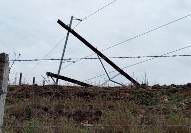 CORTE DE ENERGÍA ELÉCTRICA EN JALPA POR DAÑOS EN LA RED