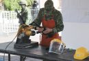 Invitan en Jalpa a participar en la Campaña de Canje de Armas de Fuego 2026