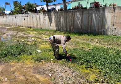Emite SSZ recomendaciones para prevenir el dengue ante llegada de lluvias