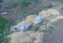Aseguran Fuerzas de Seguridad más de 200 kilogramos de material explosivo en Aguascalientes, límites con Zacatecas