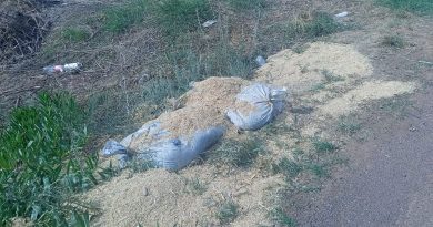 Aseguran Fuerzas de Seguridad más de 200 kilogramos de material explosivo en Aguascalientes, límites con Zacatecas