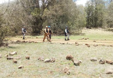 En zona serrana de Tepetongo, realiza Gobierno de Zacatecas búsqueda forense individualizada