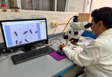 Aguascalientes implementa nueva estrategia biológica para reducir la transmisión del dengue