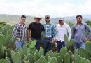 Jalpa se consolida como referente nopalero y comparte experiencia agrícola con Tancítaro