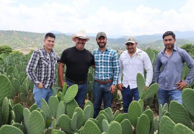 Jalpa se consolida como referente nopalero y comparte experiencia agrícola con Tancítaro