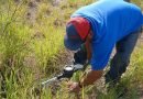Realizan trabajos de mantenimiento en la red de agua potable de Jalpa