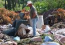 Jalpa reforzará vigilancia y aplicará multas por tirar basura en zonas prohibidas