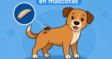 Emiten recomendaciones para proteger a las mascotas ante riesgo de gusano barrenador