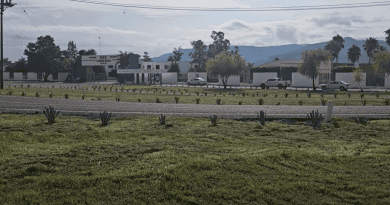 Mejoran imagen urbana en acceso sur de Jalpa, entre la Unidad Deportiva y el Campus UAZ
