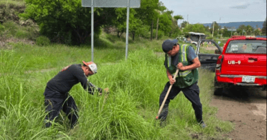 Refuerzan limpieza y desmalezado para prevenir encharcamientos en Calvillo