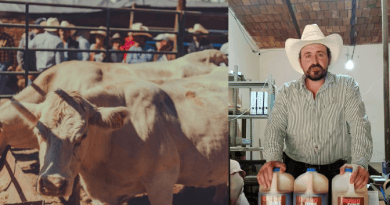 Asociación Ganadera de Jalpa llama a reforzar medidas contra el gusano barrenador