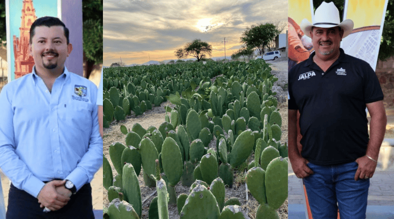 Jalpa se consolida como referente nacional del nopal y prepara hermanamiento con Tancítaro