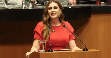 Muerte de mexicanos bajo custodia del ICE es una tragedia que no puede reducirse a una estadística: Geovanna Bañuelos